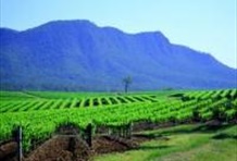 Hunter Valley Wineries with Gardens